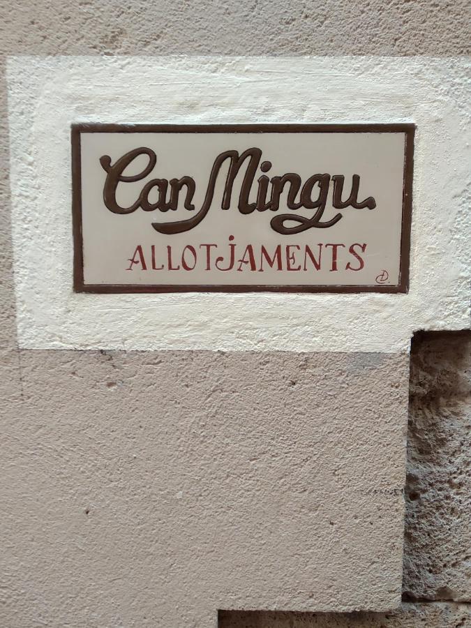 Buhardilla Dos En Mingu Appartement